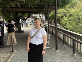 Temples and Pagodas in Kyoto